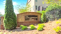 Logo image for Collinswood Park
