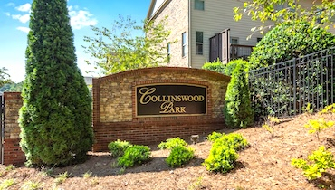 Image of Collinswood Park