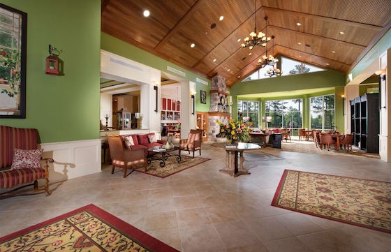 Image of New Active Adult Homes in Sun City Peachtree built by Del Webb