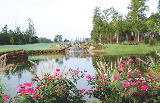 Image of New Active Adult Homes in Sun City Peachtree built by Del Webb