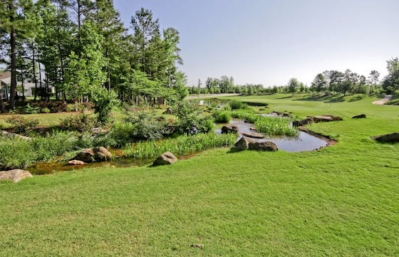 Image of New Active Adult Homes in Sun City Peachtree built by Del Webb