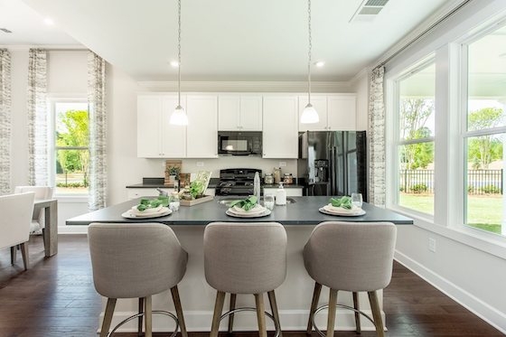 Image of Active Adult New Homes Community in Hoschton at Cresswind Georgia at Twin Lakes