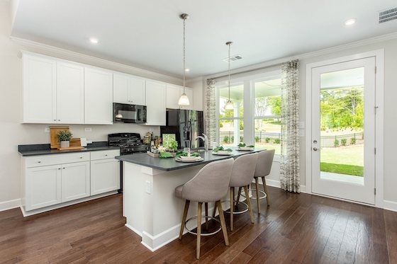 Image of Active Adult New Homes Community in Hoschton at Cresswind Georgia at Twin Lakes