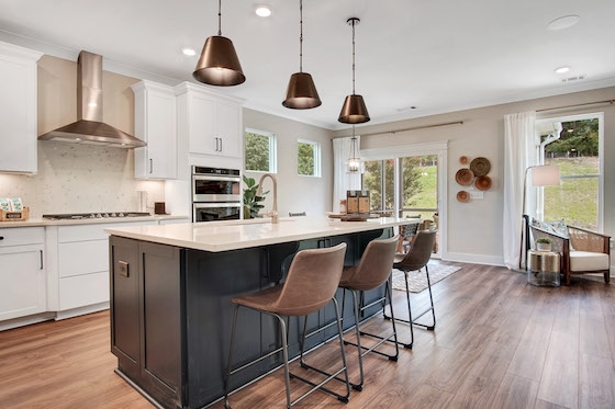 Image of New Homes in Jackson County, Georgia built by Eastwood Homes in Twin Lakes!
