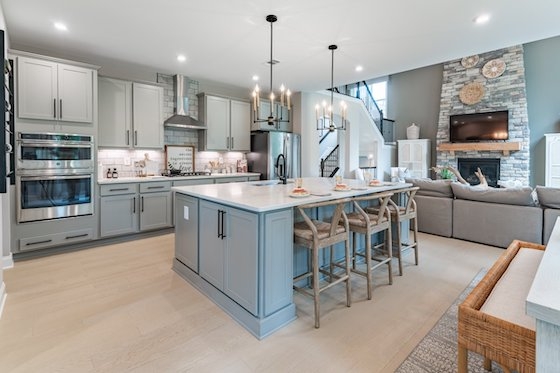 Image of New Homes in Braselton, Georgia built by Fischer Homes in the New Home Community of The Reserve at Liberty Park!