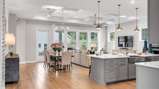 Image of New Homes for Active Adults in Newnan, Georgia built by Kolter Homes in the Active Adult 55+ New Home Community of Cresswind at Spring Haven!