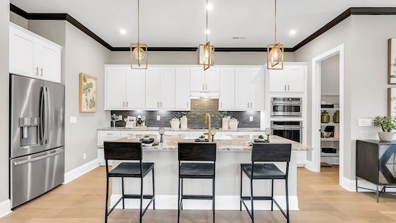 Image of New Homes for Active Adults in Newnan, Georgia built by Kolter Homes in the Active Adult 55+ New Home Community of Cresswind at Spring Haven!