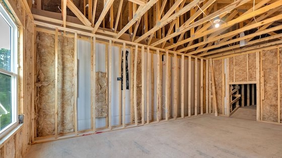 Image of New Homes for Active Adults in Newnan, Georgia built by Kolter Homes in the Active Adult 55+ New Home Community of Cresswind at Spring Haven!