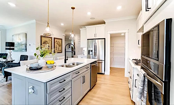 Image of New Homes in Dawsonville, Georgia built by Eastwood Homes in the New Home Community of Villas at Dawsonville!