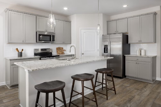Image of New Homes in Gainesville, Georgia built by Dream Finders Homes in the New Home Community of The Grove at Mundy Mill!