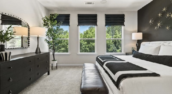 Image of New Townhomes in Alder Creek!