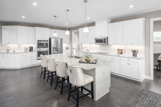 Image of  New Homes in Commerce, Georgia built by Ryan Homes in the New Home Community of Eagles Crest!