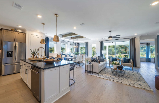 Image of  New Homes for Active Adults in Canton, Georgia built by David Weekley Homes in the Active Adult 55+ New Home Community of Easton Park!