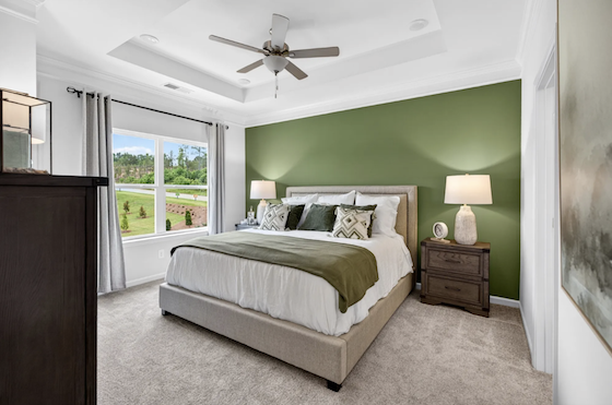 Image of New Homes in Cartersville, Georgia built by Smith Douglas Homes in the New Home Community of Fairington!