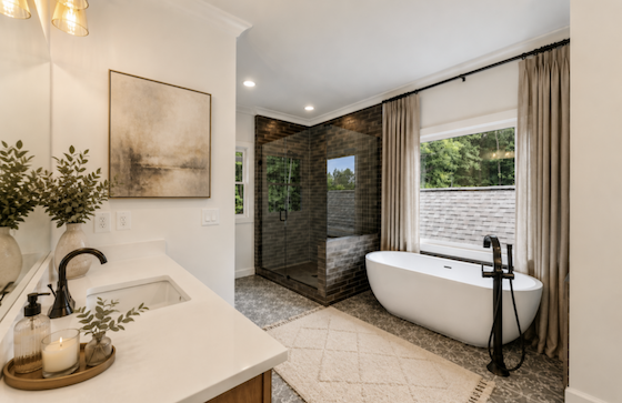 Image of New Homes in Lanesborough!