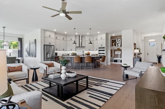 Image of New Homes for Active Adults in Dallas, Georgia built by David Weekley Homes in the Active Adult 55+ New Home Community of Old Mill Preserve!