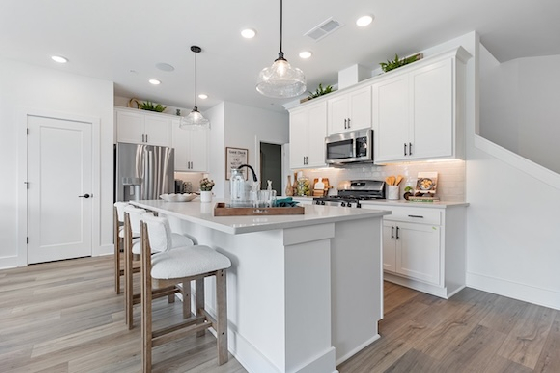 Image of New Homes in Canton, Georgia built by David Weekley Homes in the New Home Community of Grandview Terrace!