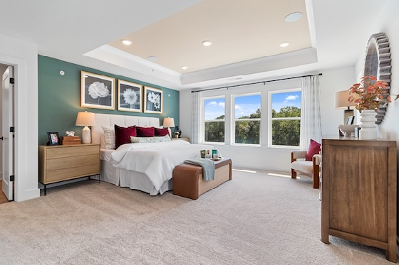 Image of New Homes in Canton, Georgia built by David Weekley Homes in the New Home Community of Grandview Terrace!